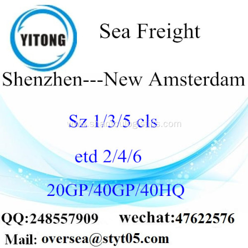 Shenzhen Port Sea Freight Shipping To New Amsterdam